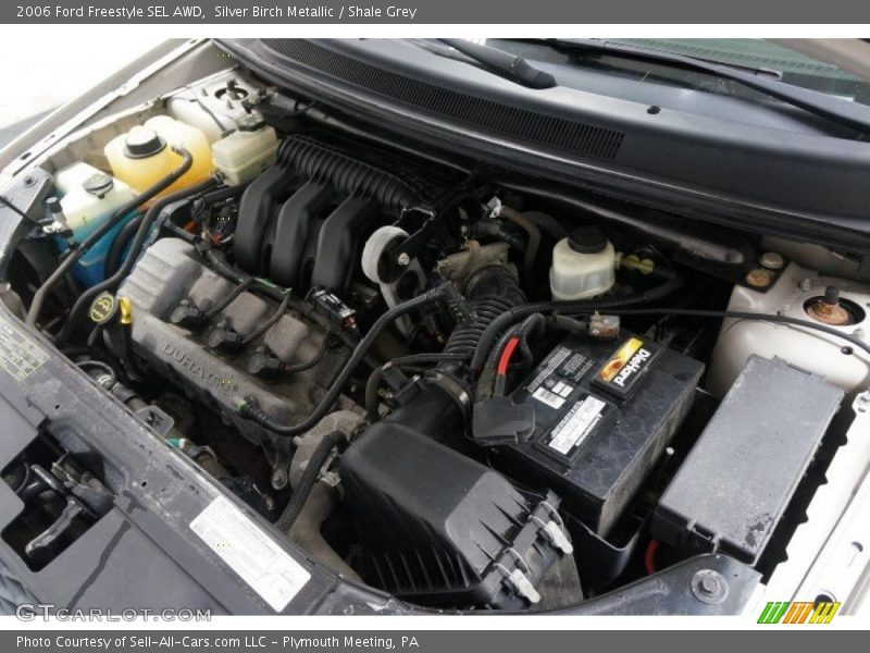 Silver Birch Metallic / Shale Grey 2006 Ford Freestyle SEL AWD