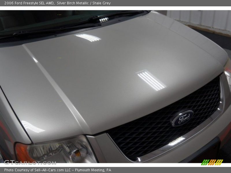 Silver Birch Metallic / Shale Grey 2006 Ford Freestyle SEL AWD