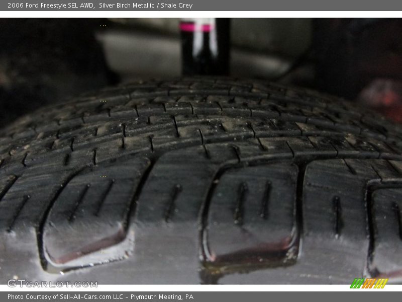 Silver Birch Metallic / Shale Grey 2006 Ford Freestyle SEL AWD