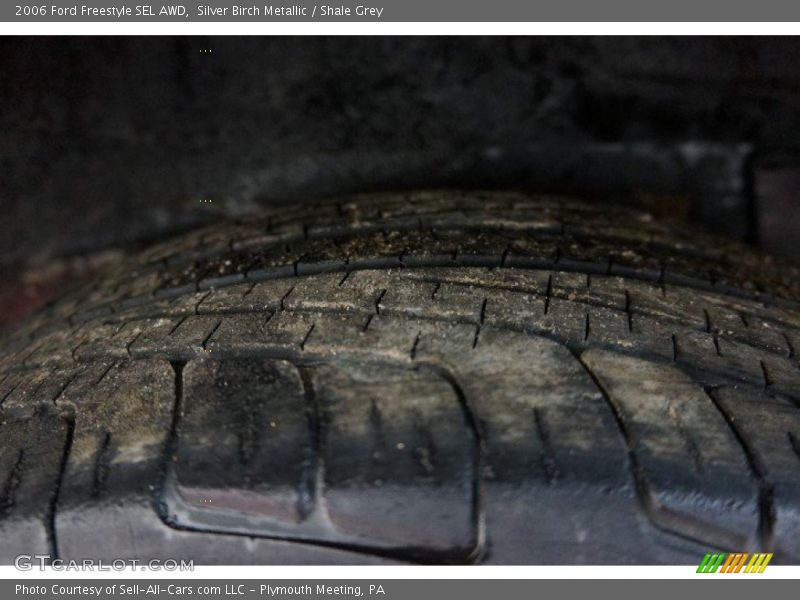 Silver Birch Metallic / Shale Grey 2006 Ford Freestyle SEL AWD