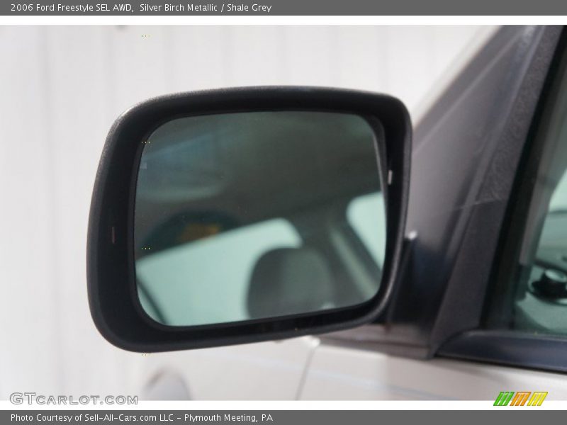 Silver Birch Metallic / Shale Grey 2006 Ford Freestyle SEL AWD