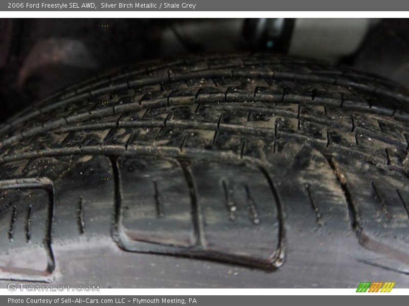 Silver Birch Metallic / Shale Grey 2006 Ford Freestyle SEL AWD