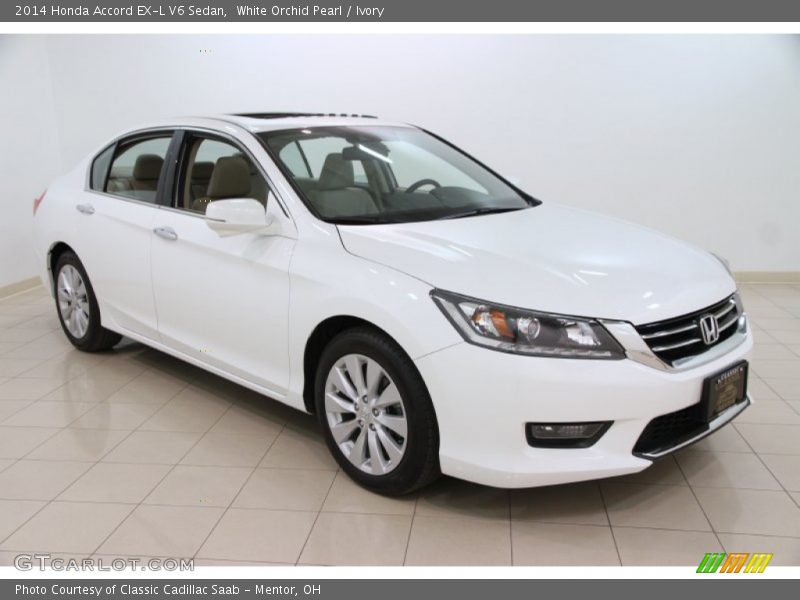 White Orchid Pearl / Ivory 2014 Honda Accord EX-L V6 Sedan