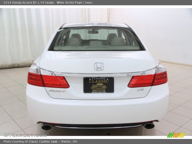 White Orchid Pearl / Ivory 2014 Honda Accord EX-L V6 Sedan