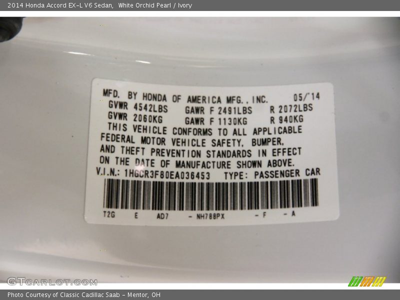 White Orchid Pearl / Ivory 2014 Honda Accord EX-L V6 Sedan