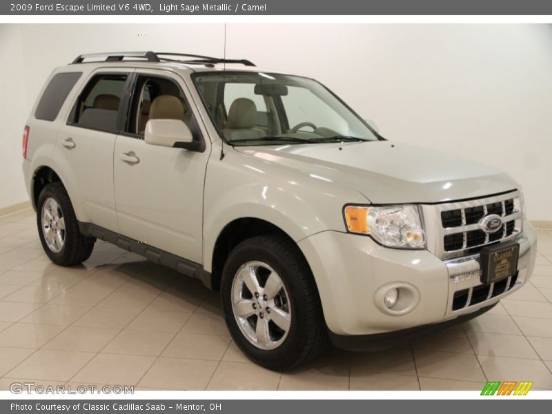 Light Sage Metallic / Camel 2009 Ford Escape Limited V6 4WD