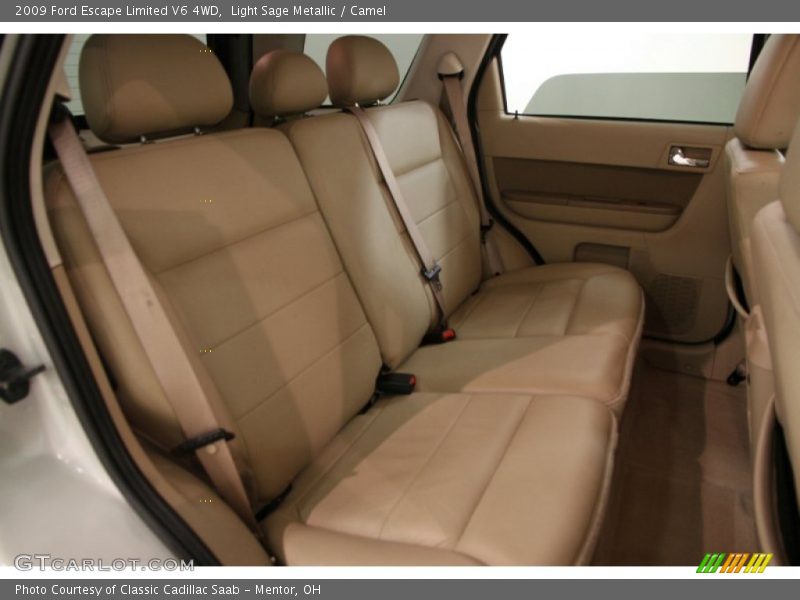 Light Sage Metallic / Camel 2009 Ford Escape Limited V6 4WD