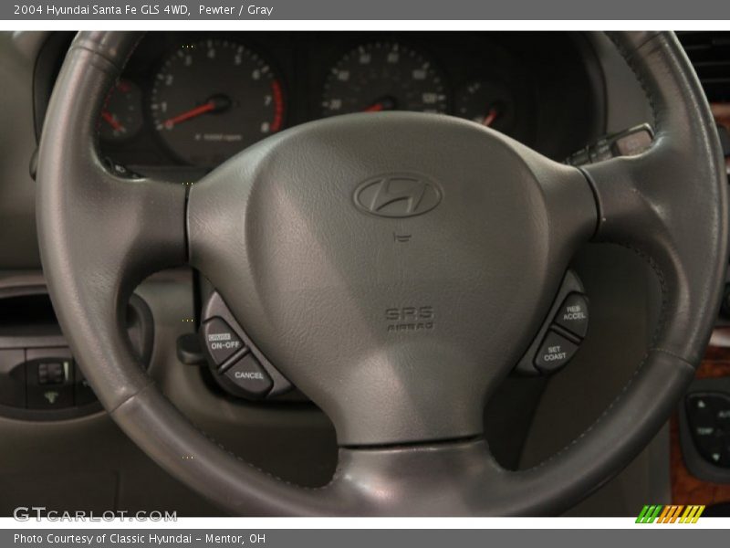 Pewter / Gray 2004 Hyundai Santa Fe GLS 4WD