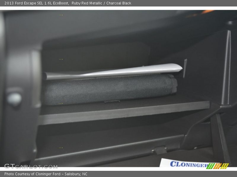 Ruby Red Metallic / Charcoal Black 2013 Ford Escape SEL 1.6L EcoBoost