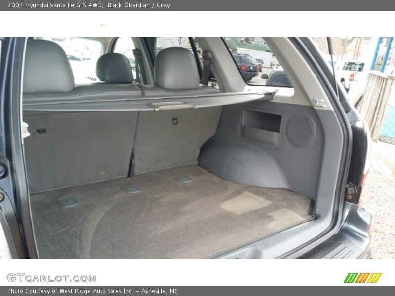 Black Obsidian / Gray 2003 Hyundai Santa Fe GLS 4WD