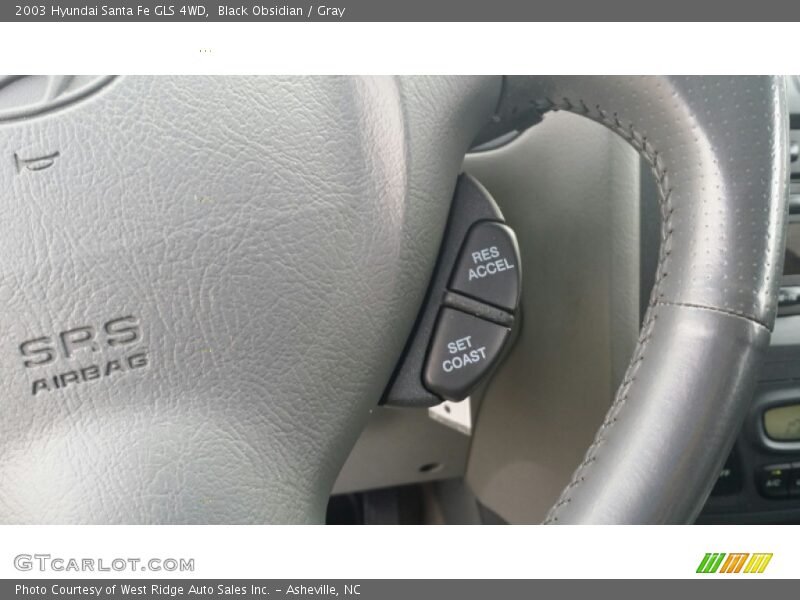 Black Obsidian / Gray 2003 Hyundai Santa Fe GLS 4WD
