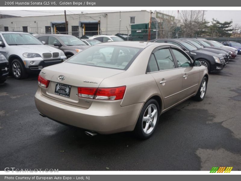 Golden Beige / Beige 2006 Hyundai Sonata GLS V6