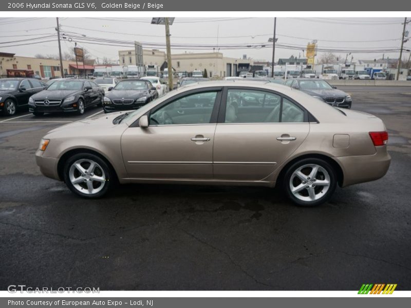 Golden Beige / Beige 2006 Hyundai Sonata GLS V6
