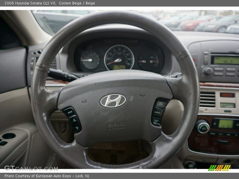 Golden Beige / Beige 2006 Hyundai Sonata GLS V6
