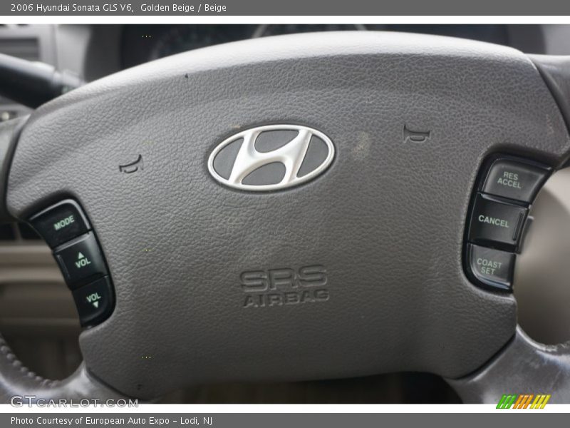 Golden Beige / Beige 2006 Hyundai Sonata GLS V6