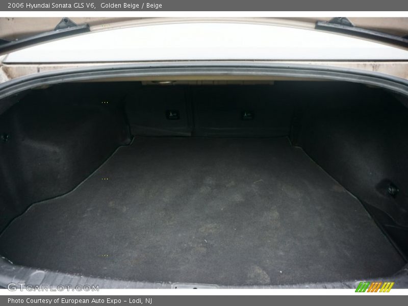 Golden Beige / Beige 2006 Hyundai Sonata GLS V6