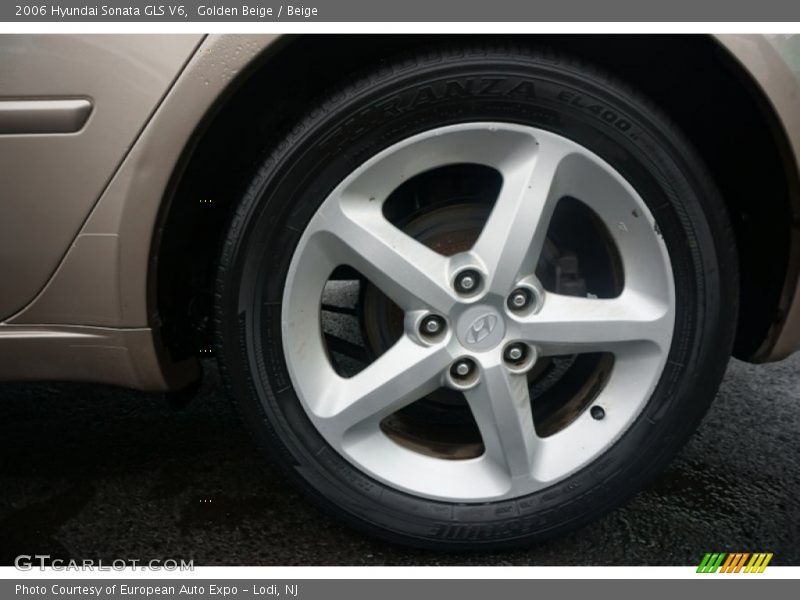 Golden Beige / Beige 2006 Hyundai Sonata GLS V6