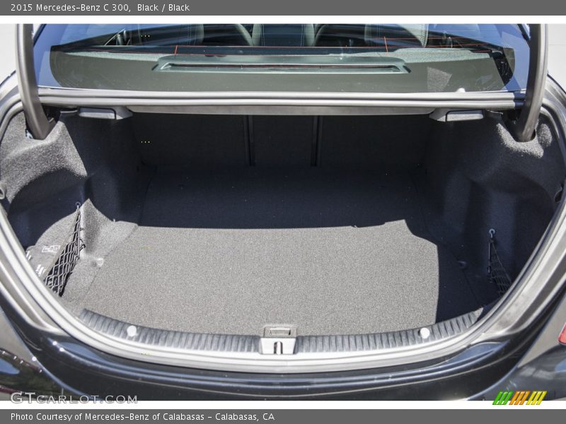 Black / Black 2015 Mercedes-Benz C 300