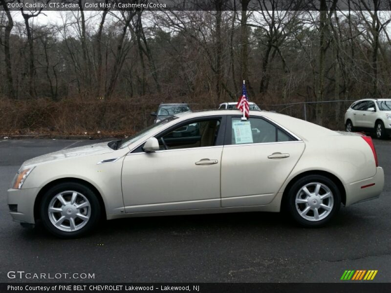 Gold Mist / Cashmere/Cocoa 2008 Cadillac CTS Sedan