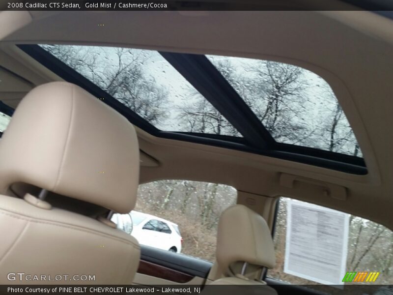 Gold Mist / Cashmere/Cocoa 2008 Cadillac CTS Sedan