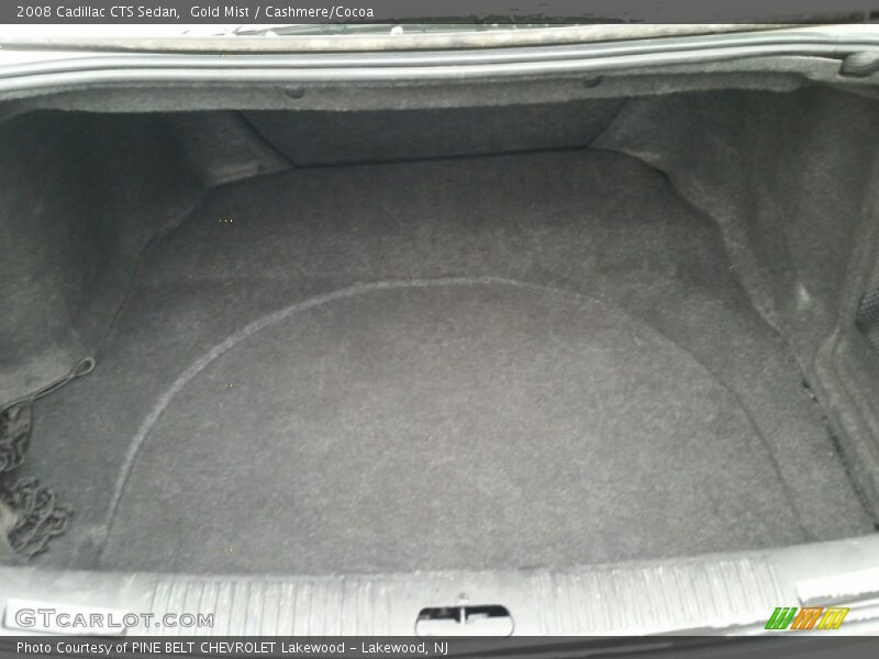 Gold Mist / Cashmere/Cocoa 2008 Cadillac CTS Sedan