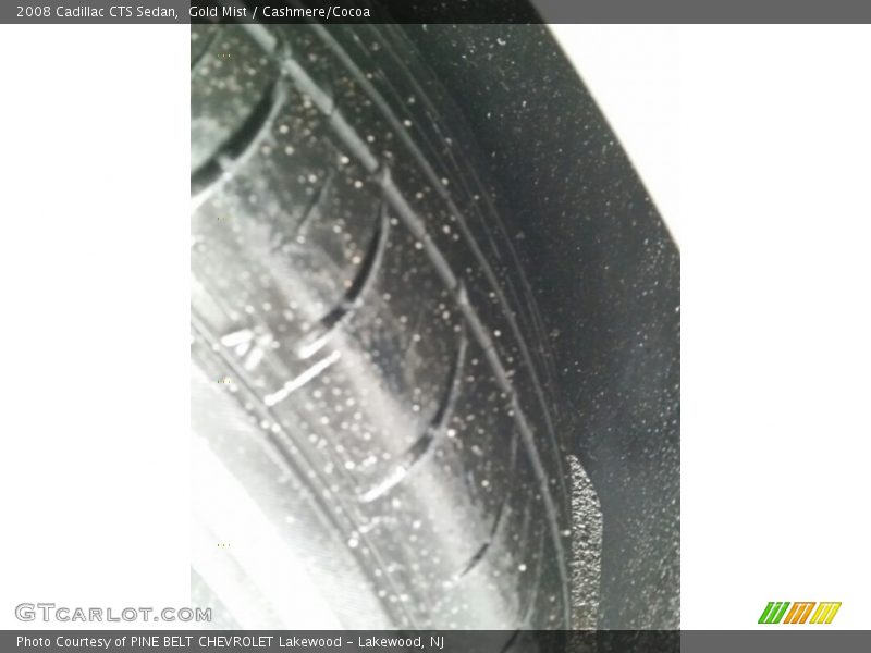 Gold Mist / Cashmere/Cocoa 2008 Cadillac CTS Sedan