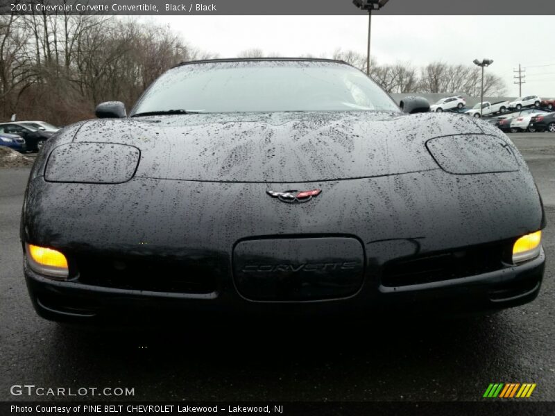 Black / Black 2001 Chevrolet Corvette Convertible