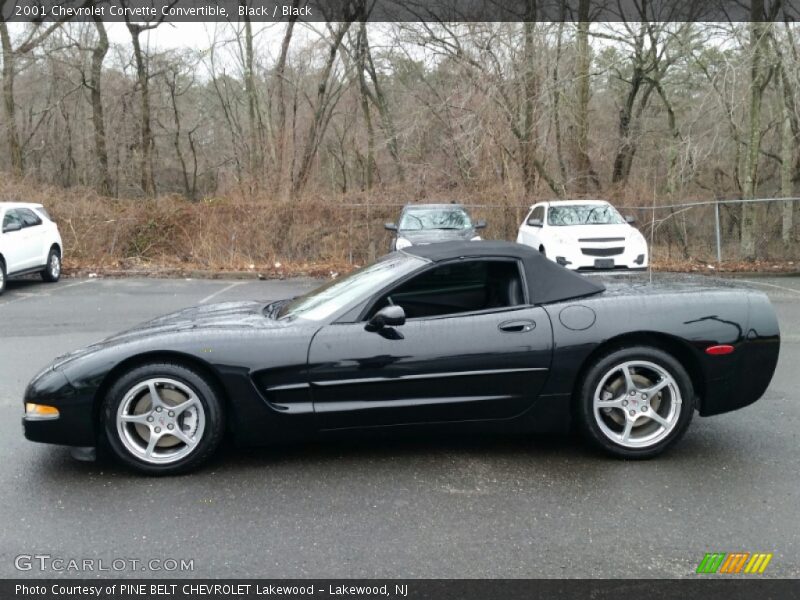 Black / Black 2001 Chevrolet Corvette Convertible