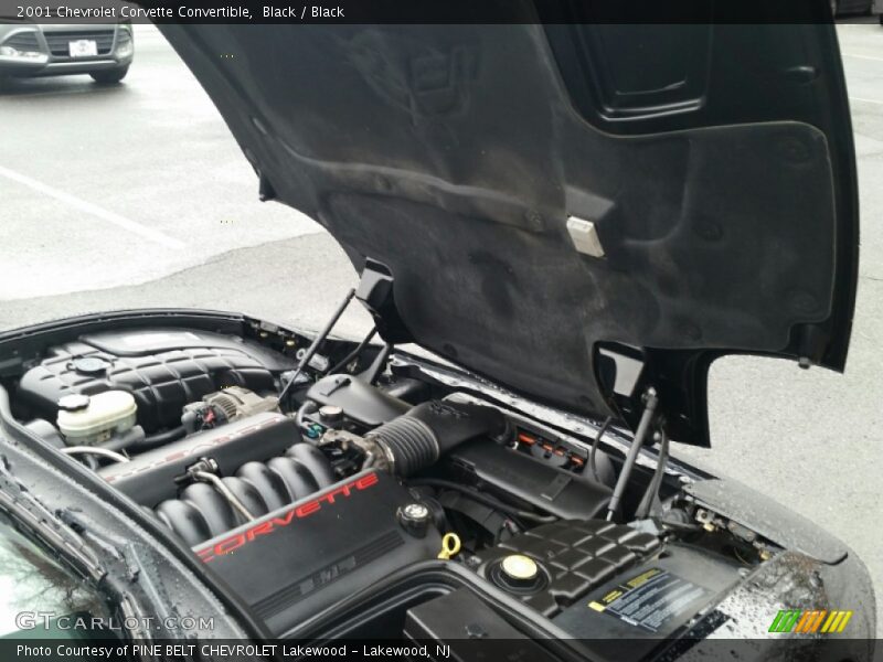 Black / Black 2001 Chevrolet Corvette Convertible