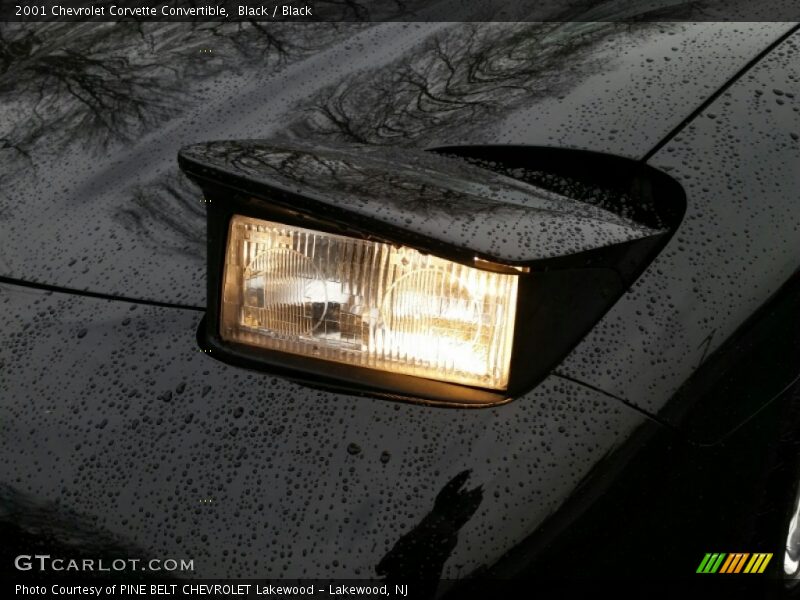 Black / Black 2001 Chevrolet Corvette Convertible