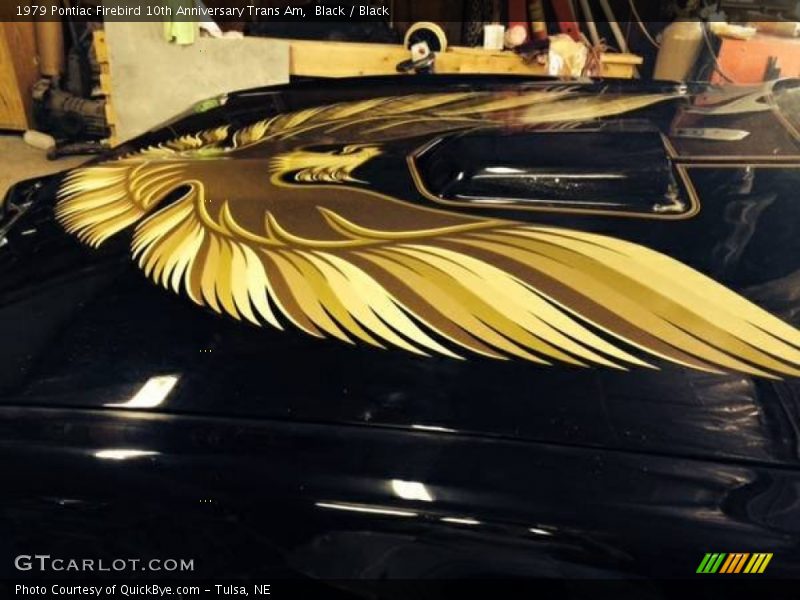 Black / Black 1979 Pontiac Firebird 10th Anniversary Trans Am