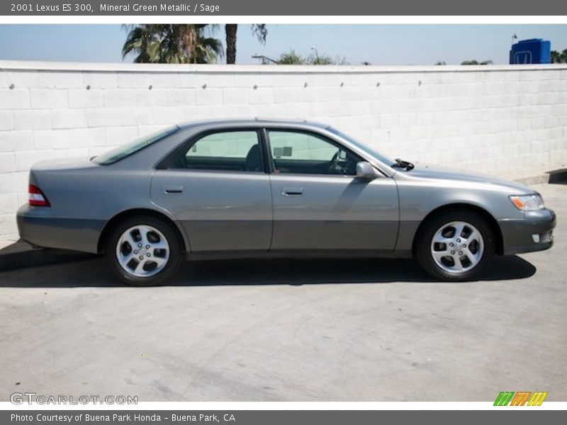 Mineral Green Metallic / Sage 2001 Lexus ES 300