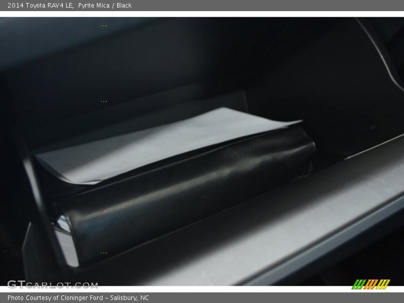 Pyrite Mica / Black 2014 Toyota RAV4 LE