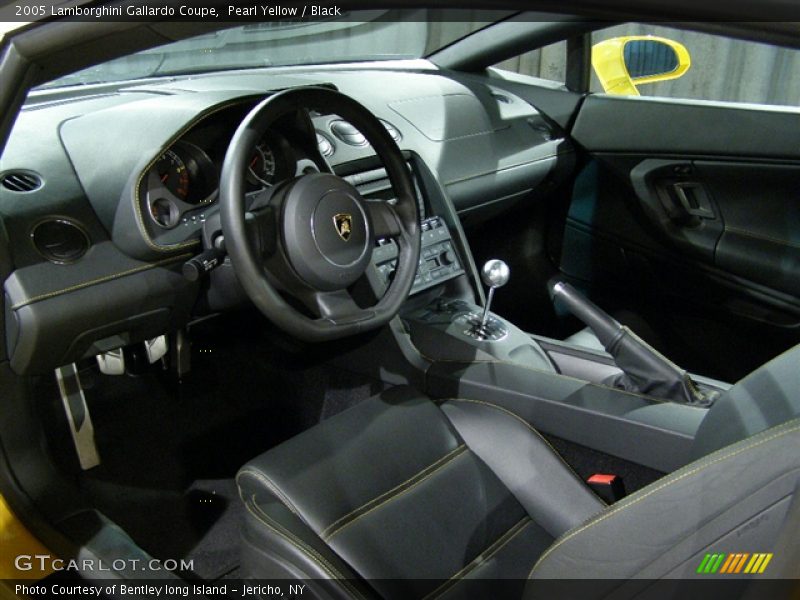 Pearl Yellow / Black 2005 Lamborghini Gallardo Coupe