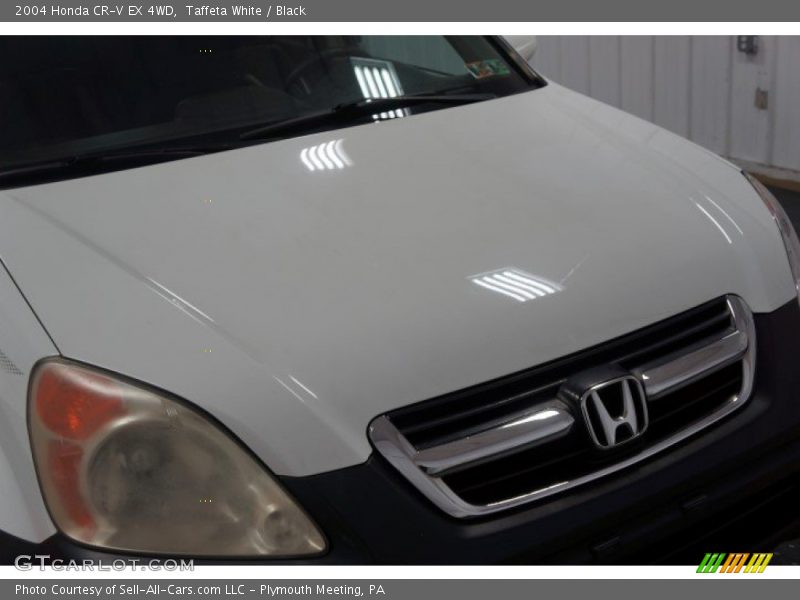 Taffeta White / Black 2004 Honda CR-V EX 4WD