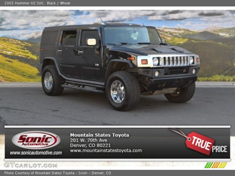 Black / Wheat 2003 Hummer H2 SUV