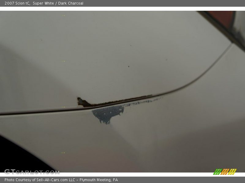 Super White / Dark Charcoal 2007 Scion tC