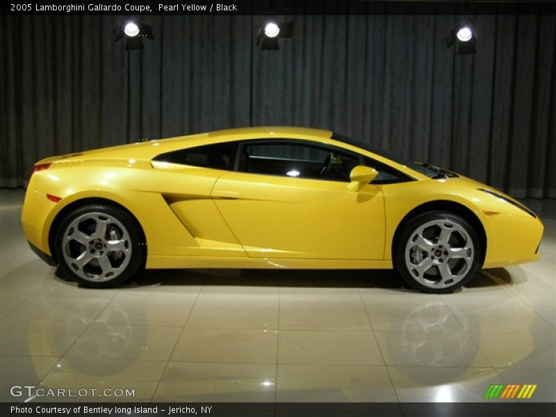 Pearl Yellow / Black 2005 Lamborghini Gallardo Coupe