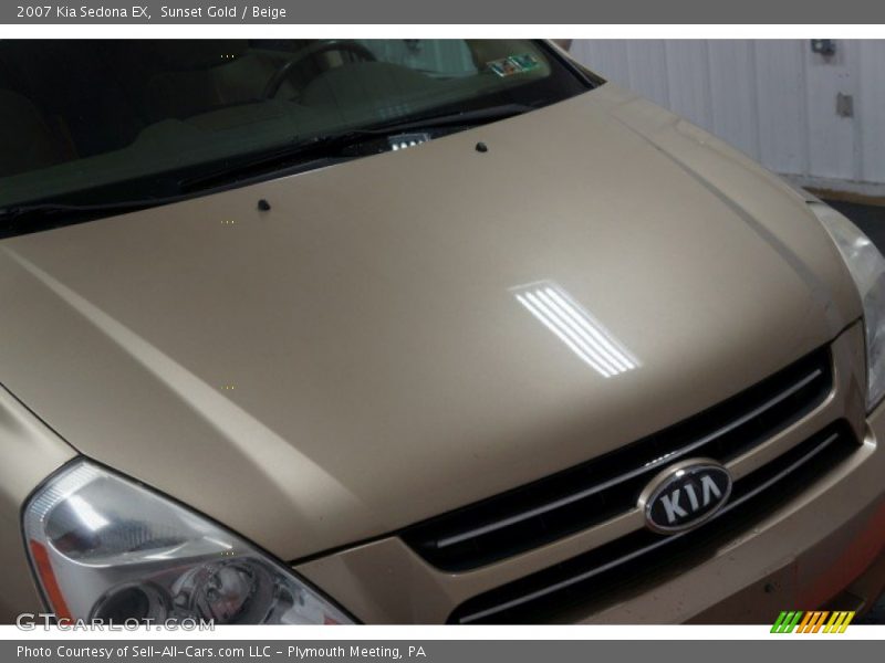 Sunset Gold / Beige 2007 Kia Sedona EX