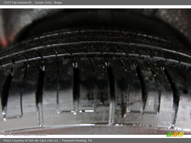 Sunset Gold / Beige 2007 Kia Sedona EX