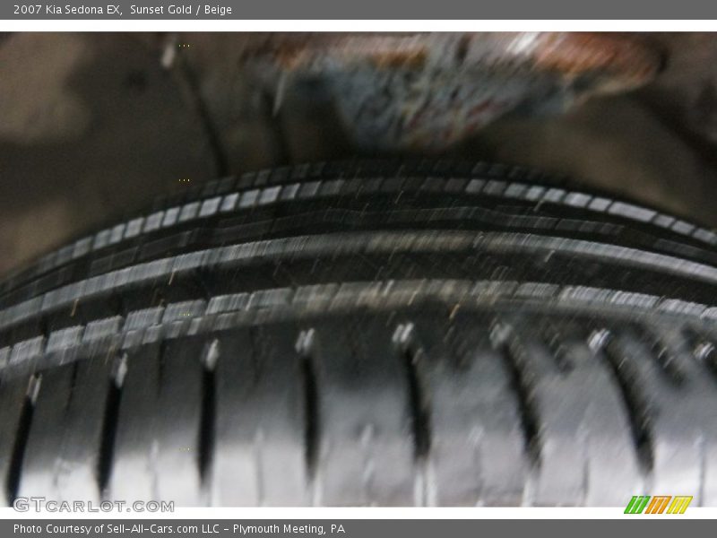 Sunset Gold / Beige 2007 Kia Sedona EX