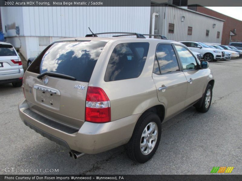 Mesa Beige Metallic / Saddle 2002 Acura MDX Touring