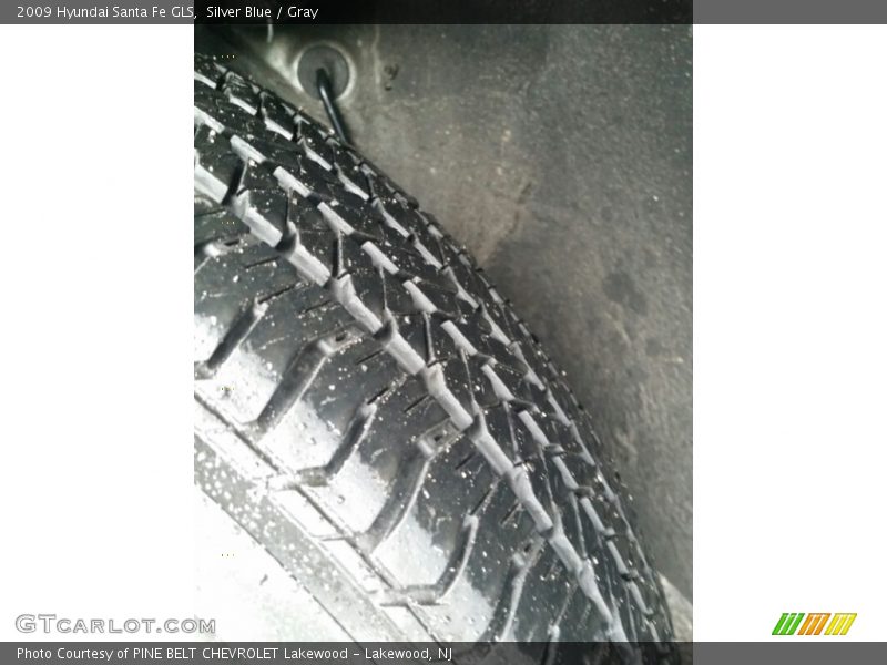 Silver Blue / Gray 2009 Hyundai Santa Fe GLS