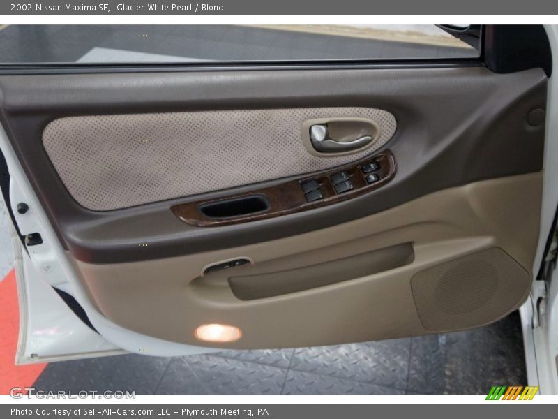 Door Panel of 2002 Maxima SE