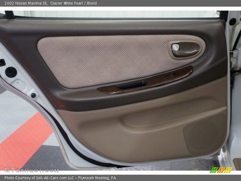 Door Panel of 2002 Maxima SE