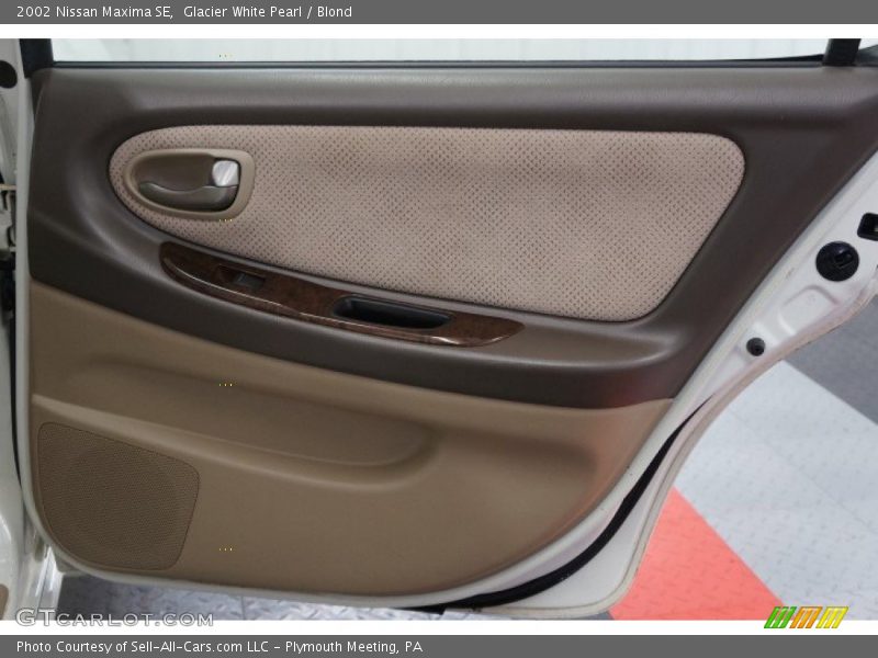 Door Panel of 2002 Maxima SE