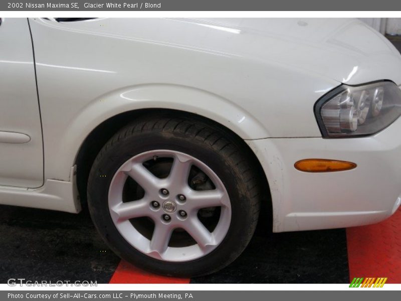 Glacier White Pearl / Blond 2002 Nissan Maxima SE