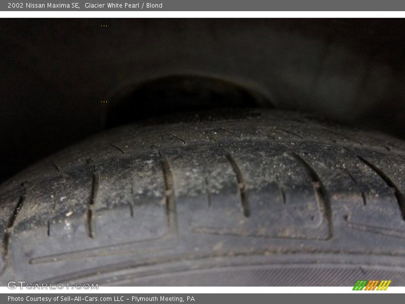 Glacier White Pearl / Blond 2002 Nissan Maxima SE