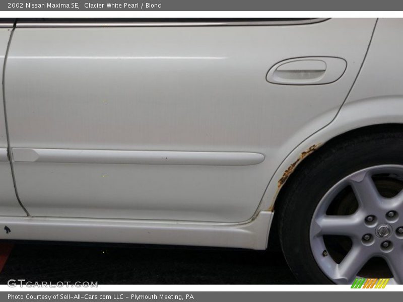 Glacier White Pearl / Blond 2002 Nissan Maxima SE