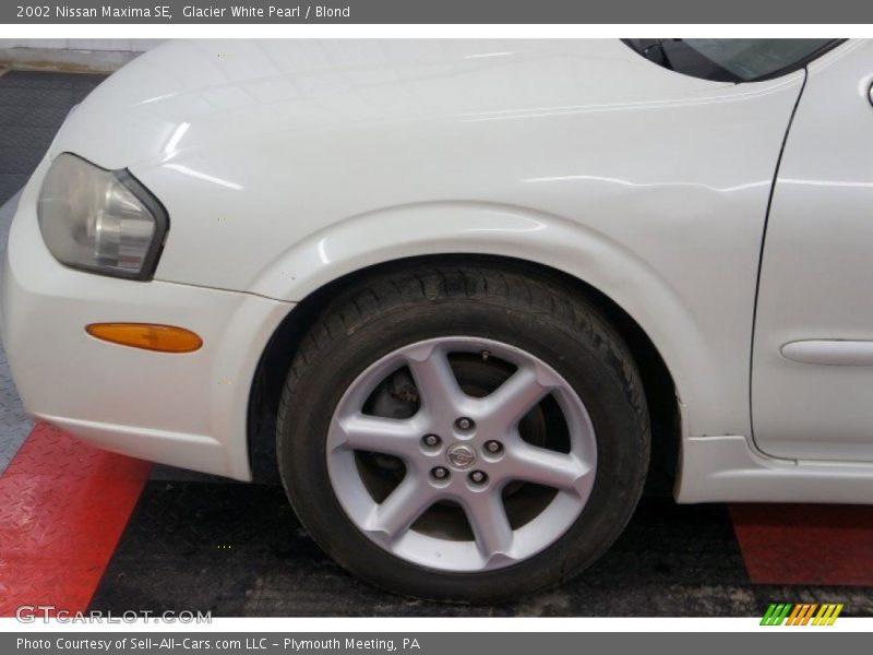 Glacier White Pearl / Blond 2002 Nissan Maxima SE